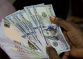 BDC Operators on the Brink as CBN Dollar Drought Deepens Strain on Street Economy