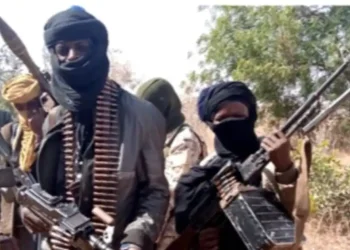 Night Raid Leaves Dozens Abducted in Zamfara