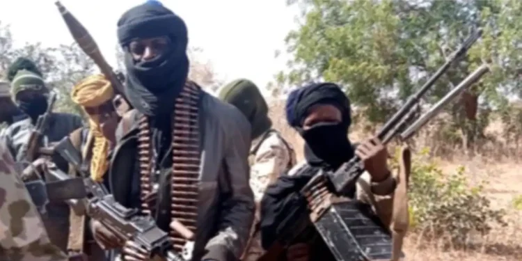 Night Raid Leaves Dozens Abducted in Zamfara