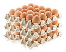 Egg Distributors Reject Blame for Price Rises, Point Finger at Poultry Farmers’ Monopoly