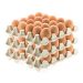 Egg Distributors Reject Blame for Price Rises, Point Finger at Poultry Farmers’ Monopoly