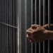 Study Reveals 70% of Nigerian Women on Death Row are Mothers