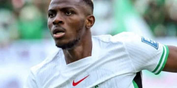 The Thrill and Trepidation: Nigeria’s Playoff Berth and the Multi-Million Dollar World Cup Gamble