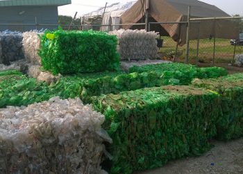 The Mega-City’s Green Swap: Turning Household Waste into Money
