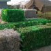 The Mega-City’s Green Swap: Turning Household Waste into Money