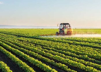 VP Shettima Assures Full Support as ETG Commits 6,000 New Jobs to Nigeria’s Agro-Sector