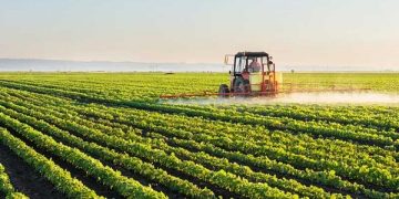 VP Shettima Assures Full Support as ETG Commits 6,000 New Jobs to Nigeria’s Agro-Sector