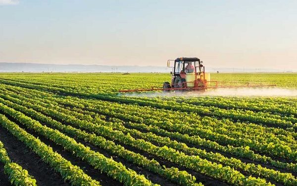 VP Shettima Assures Full Support as ETG Commits 6,000 New Jobs to Nigeria’s Agro-Sector