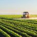 VP Shettima Assures Full Support as ETG Commits 6,000 New Jobs to Nigeria’s Agro-Sector