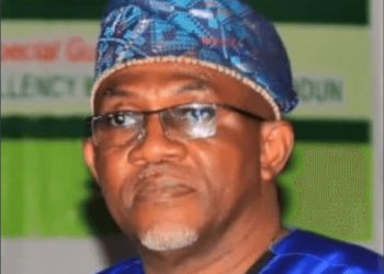 Diaspora Urged to Turn Nigeria’s Holiday Fun into Investment Fund