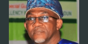 Diaspora Urged to Turn Nigeria’s Holiday Fun into Investment Fund