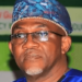 Diaspora Urged to Turn Nigeria’s Holiday Fun into Investment Fund