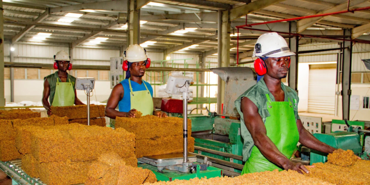 Ghana’s Producer Price Inflation Slows Sharply Amid Mining and Manufacturing Adjustments