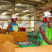 Ghana’s Producer Price Inflation Slows Sharply Amid Mining and Manufacturing Adjustments