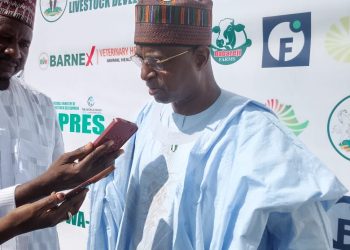 Nigeria Bans Open Cattle Grazing, Eyes $74 Billion Livestock Boom