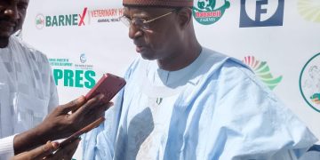 Nigeria Bans Open Cattle Grazing, Eyes $74 Billion Livestock Boom