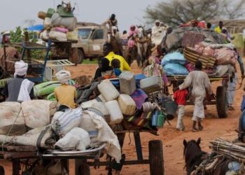 Dozens Killed in Intercommunal Clashes in Southwestern Chad
