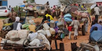 Dozens Killed in Intercommunal Clashes in Southwestern Chad