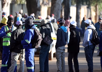 South Africa’s Unemployment Falls to 31.9% as Job Gains Emerge in Key Sectors