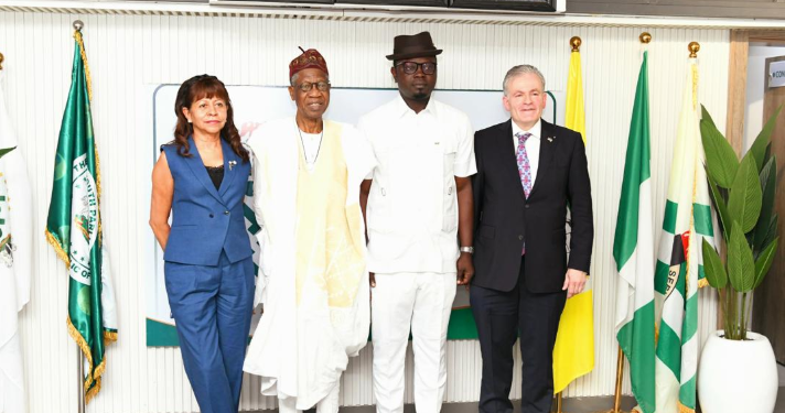 Nigeria to Empower 7 Million Youths with Dual Skills