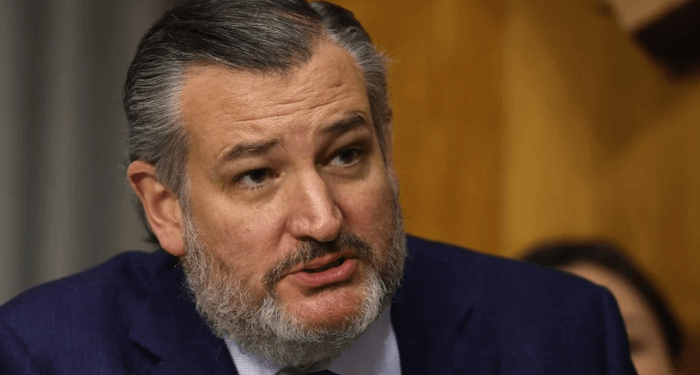 US Senator Ted Cruz Pushes for Sanctions on Nigerian Officials over Alleged Christian Persecution