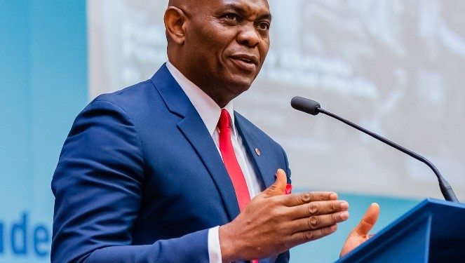 Court Suspends $3.66 Million Tax Order Against Elumelu-Linked Abuja Power Firm
