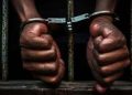 Project Managers Face Two Years in Jail Without Official Licence