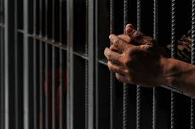 Massive Drug Bust in India: 50 Nigerians Arrested in Transnational Syndicate Crackdown