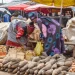 State Policies Essential for Resilient Food Systems