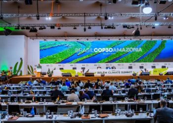 Shettima: Nigeria to Mobilise $3 Billion Annually Through Carbon Markets