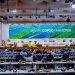 Shettima: Nigeria to Mobilise $3 Billion Annually Through Carbon Markets