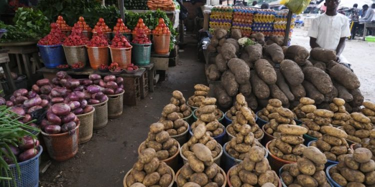 SEEDAN Lauds ₦50bn Seed Fund