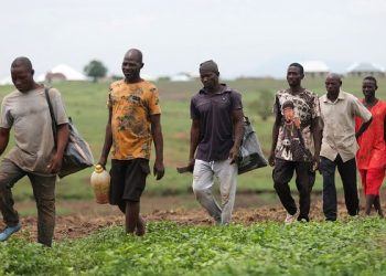 Senate Calls for Urgent Support as Falling Farm Prices Threaten Rural Incomes