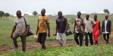 Senate Calls for Urgent Support as Falling Farm Prices Threaten Rural Incomes