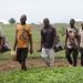 Senate Calls for Urgent Support as Falling Farm Prices Threaten Rural Incomes