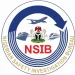 Aviation Safety Bureau Investigates Jet Incident at Malam Aminu Kano Airport