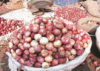 Onion Prices Expected to Rise Ahead of Christmas in Nigeria
