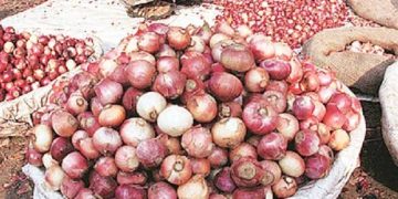 Onion Prices Expected to Rise Ahead of Christmas in Nigeria