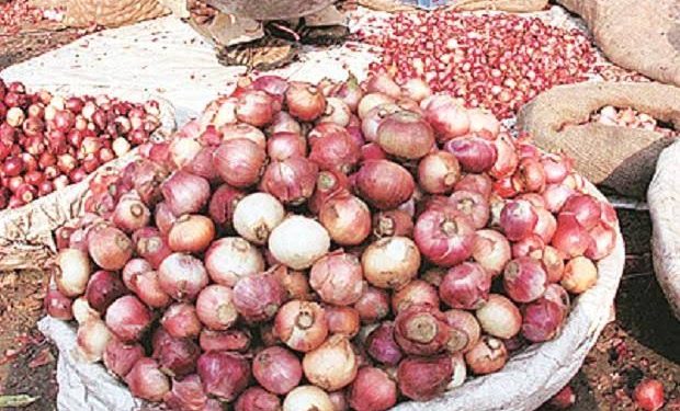 Onion Prices Expected to Rise Ahead of Christmas in Nigeria
