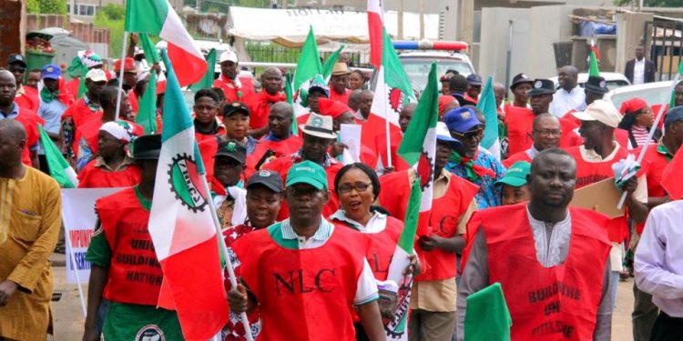 NLC Insecurity Protest Sees Low Turnout