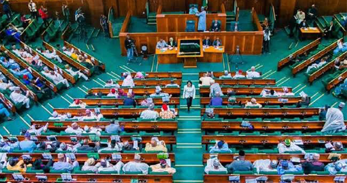 Reps Urge Government to Halve Airport Charges and Cut Taxes to Lower Airfares