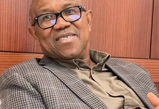 Obi Calls for Transparency Over Nigeria’s Tax Pact With France