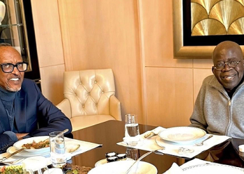 Presidency Defends AI-Enhanced Tinubu-Kagame Photo Amidst Online Uproar