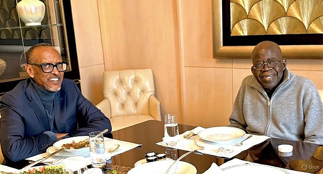 Presidency Defends AI-Enhanced Tinubu-Kagame Photo Amidst Online Uproar