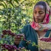Ethiopia’s Export Surge Signals Strategic Economic Shift