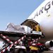 FAAN to Enforce New Cargo Tariffs February