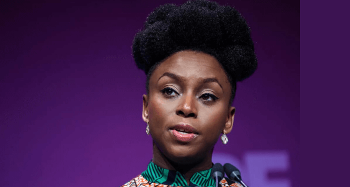 Adichie Blames Negligence for Son’s Death