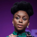 Adichie Blames Negligence for Son’s Death