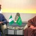Nigeria Boosts Mineral Processing with New Gold Refinery and Lithium Plant, Cracks Down on Illegal Ore Movement