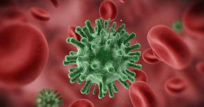 NCDC Warns of Growing Lassa Fever Outbreak